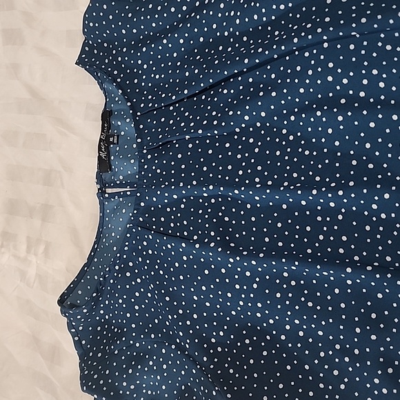 Ambriz Pleat Front Detail Blouse - Picture 2 of 10